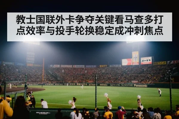 baseball stadium night game crowd