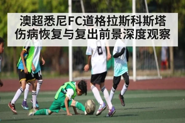 澳超悉尼FC道格拉斯科斯塔伤病恢复与复出前景深度观察